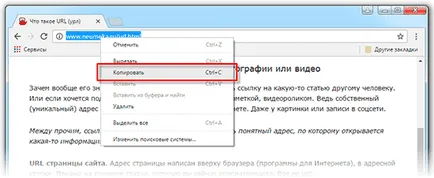 Mi az url (url)