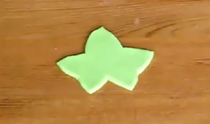 Virág öntött kezét lépésről lépésre fotó