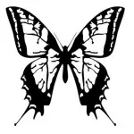 Fali dísz lepkék stencil saját kezűleg, vágja le a papírt minták képet (dekor) Fali dísz pillangók kezüket stencil, sablonok vágásához papír, fotók