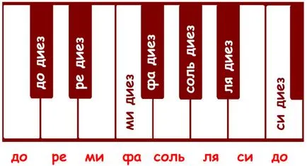 Éles, lapos és hajadon - accidentals zene (a sorrend korpás) Éles, lapos és hajadon - accidentals zene