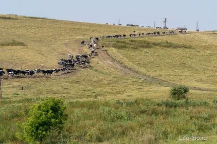 Divnogorie a voronyezsi régió - fénykép és hogyan juthatunk el oda autóval (fotó) Divnogorie a voronyezsi régió - fénykép és hogyan juthatunk el oda autóval