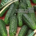 Fajta uborka fotók és leírások, ötletek otthoni és kerti