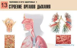 Álomértelmezés levegőt, értelmezése alvás légzés, amit egy álom, és ez egy álom, amelyben álmodott (légzés) Álomértelmezés levegőt, értelmezése alvás légzés, amit egy álom, és ez egy álom, amelyben álmodott