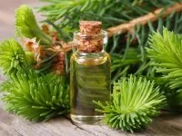 Esszenciális és növényi olajok - mi a különbség a kettő között, egyházi (olaj) Esszenciális és növényi olajok - mi a különbség a kettő között, egyházi