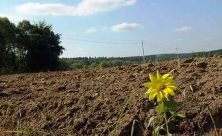 Egységes ingatlan - mi ez, egy elkülönített részét készítmény, felmérési terveknek példái (földhasználat) Egységes ingatlan - mi ez, egy elkülönített részét készítmény, felmérési terveknek, példák