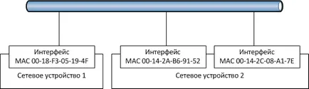 Ethernet - mi az, aki feltalálta és hogyan működik, IT expressz