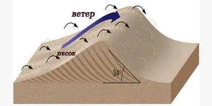 Dunes jellegű