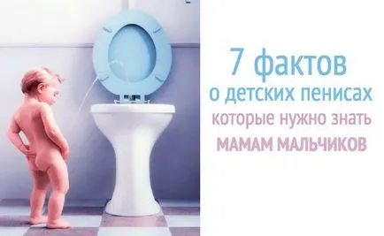 Ha van egy fiú 7 dolog, hogy anyukák kell tudni a pénisz (anya) Ha van egy fiú 7 dolog, hogy anyukák kell tudni farkuk