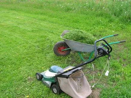 Elektromos fűnyíró és vágó szokásos