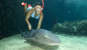 Hol van az a Dominikai Köztársaság, az összes információt a helyét, Latin-Amerika (Dominikai Köztársaság Punta Cana hol) Hol van a Dominikai Köztársaság minden információt annak elhelyezkedését, Latin-Amerikában