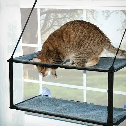 Függőágy macskáknak az akkumulátor, hogy hogyan lehet a saját kezét egy házat, és egy karcolás után (do) Függőágy macskáknak az akkumulátor, hogy hogyan lehet a saját kezét egy házat, és cicák