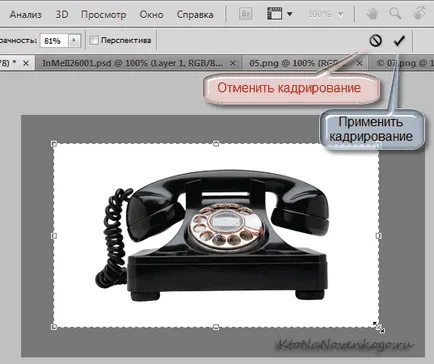 A grafika a weben