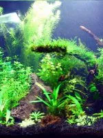 Grotto az akvárium saját kezűleg (kéz) Grotto az akvárium saját kezűleg