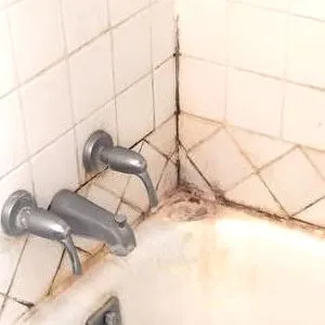 Gomba a fürdőszobában oka, 6 tenyésztési módszerek, megelőzési