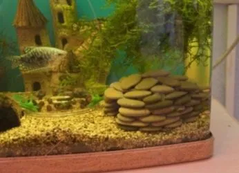 Grotto az akvárium saját kezűleg (kéz) Grotto az akvárium saját kezűleg