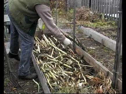 Az ágyak az ország saját kezűleg fotó