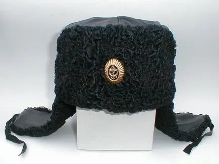History sapka