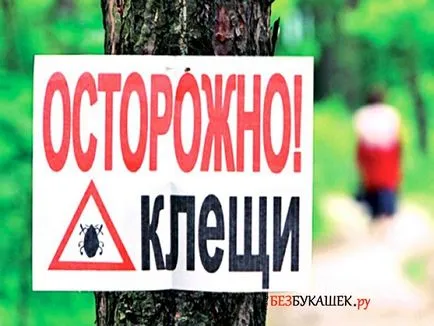 Hogyan kell kezelni a kullancsok saját nyaraló, mint a saját folyamatát (saját) Hogyan kell kezelni a kullancsok saját nyaraló saját, mint kezelni