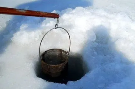 Hogyan szedd ki a szúnyoglárva halászati