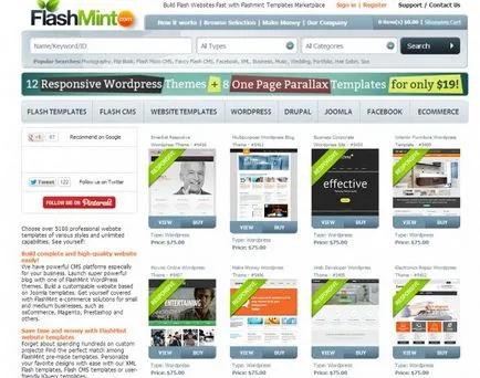 Szabadúszók pénzt eladásával témák és sablonok webhelyek