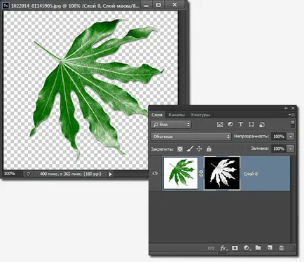 Ami a saját ecsetet a képeket Photoshopban (létre a kefe) Ami a saját ecsetet a képeket Photoshopban