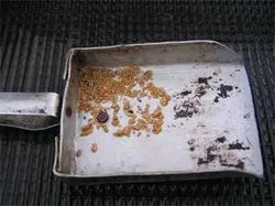 Hogyan keressen egy fémdetektor arany patakok, folyó, hegyek