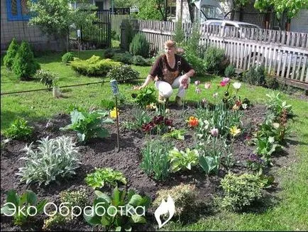 Hogyan lehet megszabadulni a gyomok és a fű a helyén örökre