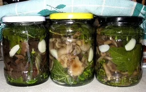 Hogyan lehet só a gomba finom házi összetevők és a receptek, jellemzői és sózás (gomba) Hogyan lehet só a gomba finom házi összetevők és a receptek, jellemzői és sózás