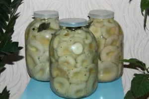 Hogyan lehet só a gomba finom házi összetevők és a receptek, jellemzői és sózás (feltételek) Hogyan lehet só a gomba finom házi összetevők és a receptek, jellemzői és sózás