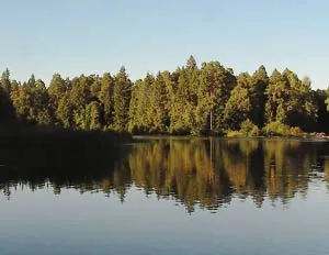 Mint hangya haza siet, a tudomány és az élet