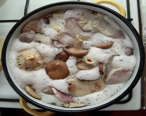 Hogyan lehet só a gomba finom házi receptek és összetevők, különösen a sózás és (otthon) Hogyan lehet só a gomba finom házi összetevők és a receptek, jellemzői és sózás