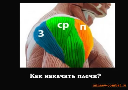 Hogyan építsünk vállak blog Andrew Minaev