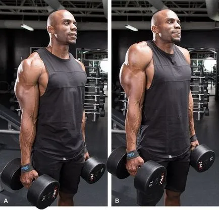 Hogyan építsünk egy erős trapéz 8 tipp a profiktól