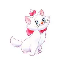 Hogyan kell felhívni a cica 1