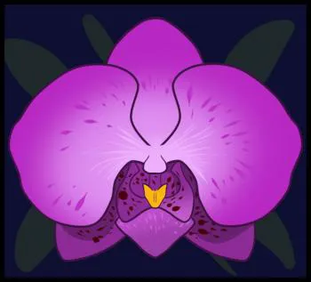 Hogyan kell felhívni a ceruza orchidea állapotok 1