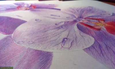 Hogyan kell felhívni orchidea fokozatosan színes ceruzák