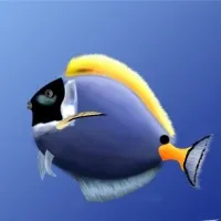 Hogyan kell tanítani a gyermeket, hogy szórakoztatni magát egyedül