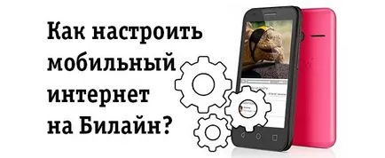Hogyan hozzunk létre a mobil internet a Beeline