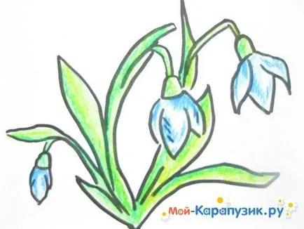 Hogyan kell felhívni a ceruzát hóvirág szakaszában (az első tavaszi virágok) Hogyan kell felhívni a ceruzát hóvirág szakaszokban