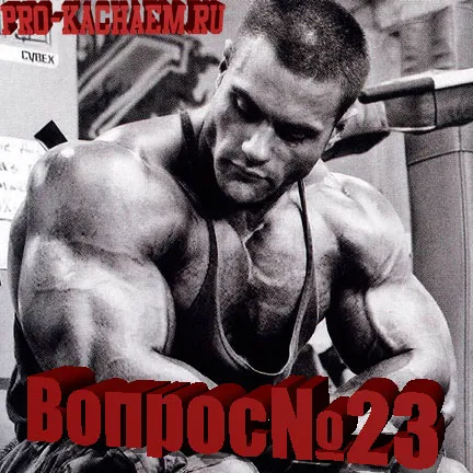 Hogyan lehet megtanulni, hogy utolérjék a lány - pro-Kach - bodybuilding kezdő (megtanulják, hogy utolérjék a lány) Hogyan lehet megtanulni, hogy utolérjék a lány - pro-Kach - Testépítés kezdőknek