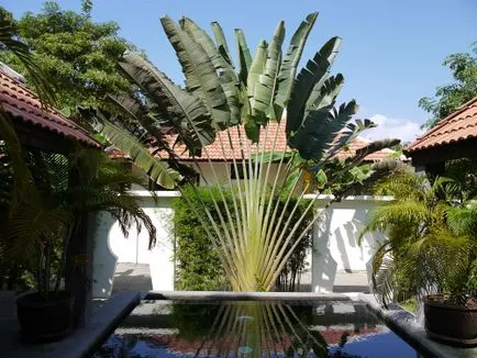 Hogyan talál egy házat, vagy bungaló Thaiföldön és mennyibe kerül, (bungaló) Hogyan talál egy házat, vagy bungaló Thaiföldön és mennyibe kerül,