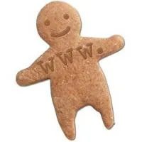 Hogyan lehet törölni a cookie-t az „Opera” és más böngészők