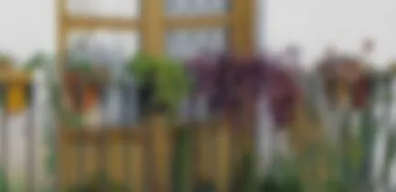 Hogyan lehet díszíteni egy erkély virágok - virágok az erkélyen (fotó) (kérdés) Hogyan lehet díszíteni egy erkély virágok - virágok az erkélyen (fotó)