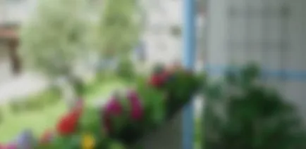 Hogyan lehet díszíteni egy erkély virágok - virágok az erkélyen (fotó) (kérdés) Hogyan lehet díszíteni egy erkély virágok - virágok az erkélyen (fotó)
