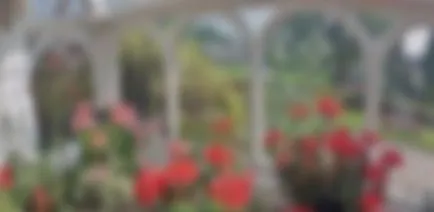 Hogyan lehet díszíteni egy erkély virágok - virágok az erkélyen (fotó) (hogyan díszíteni erkély virággal) Hogyan lehet díszíteni egy erkély virágok - virágok az erkélyen (fotó)