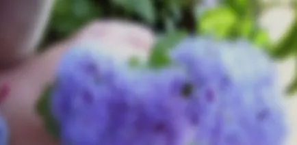 Hogyan lehet díszíteni egy erkély virágok - virágok az erkélyen (fotó) (erkély) Hogyan lehet díszíteni egy erkély virágok - virágok az erkélyen (fotó)