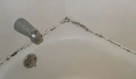 Hogyan mossa kád 5 legjobb módja, hogy a különböző típusú szennyezés, video (módon) Hogyan mossa kád 5 legjobb módja, hogy a különböző típusú szennyezés, videó
