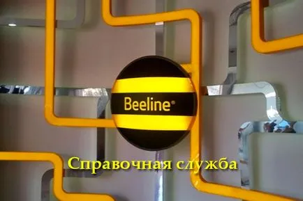 Referencia szolgáltatás légvonalban