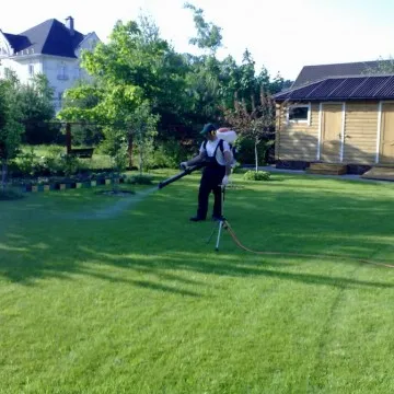 Hogyan ültetni vagy vetni szép gyep saját kezűleg