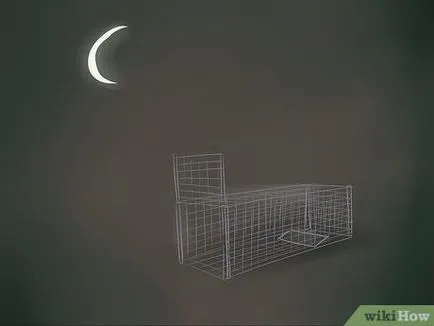 Hogyan lehet elkapni egy róka 1